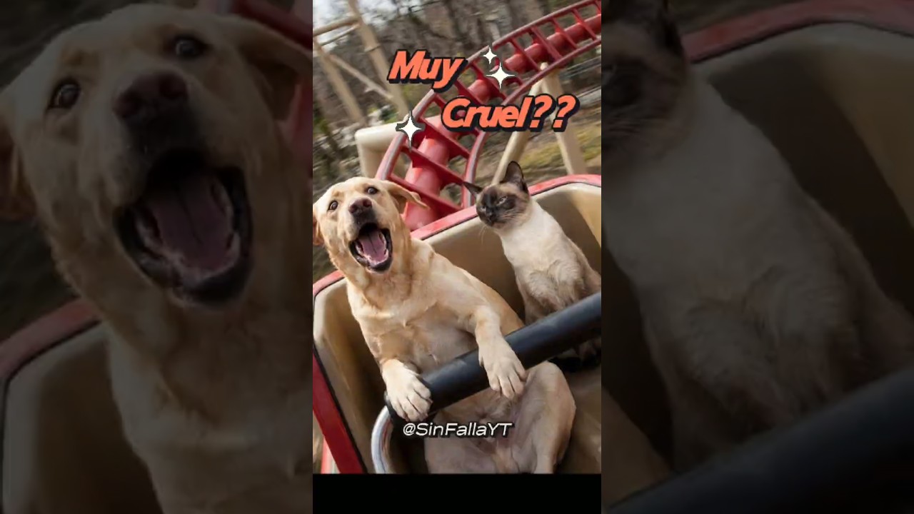 &iquest;Crueldad O Amor T&oacute;xico 🔥🐶