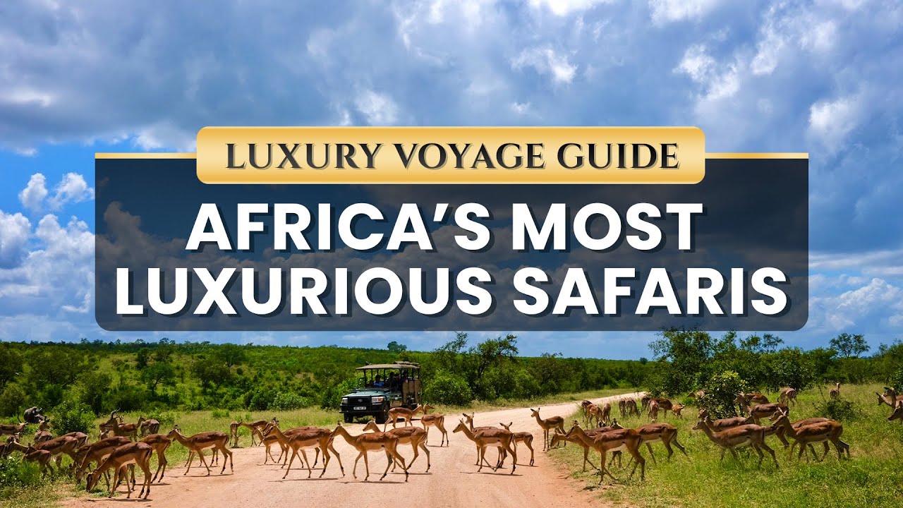 Luxury Safaris in Africa: The Most Exclusive Wildlife Experiences