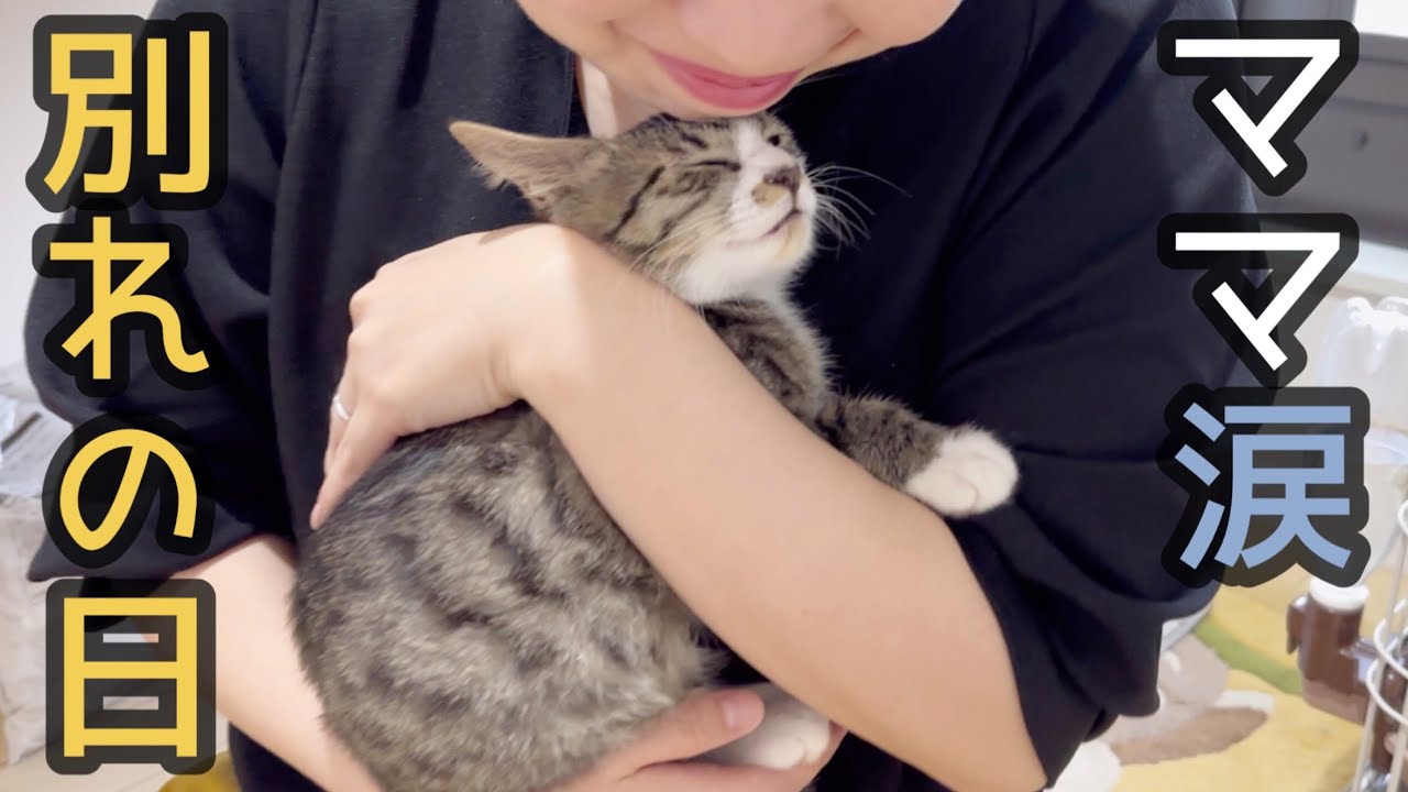 【最終回】ママバトンタッチ…ついにお別れの時が来てしまいました。