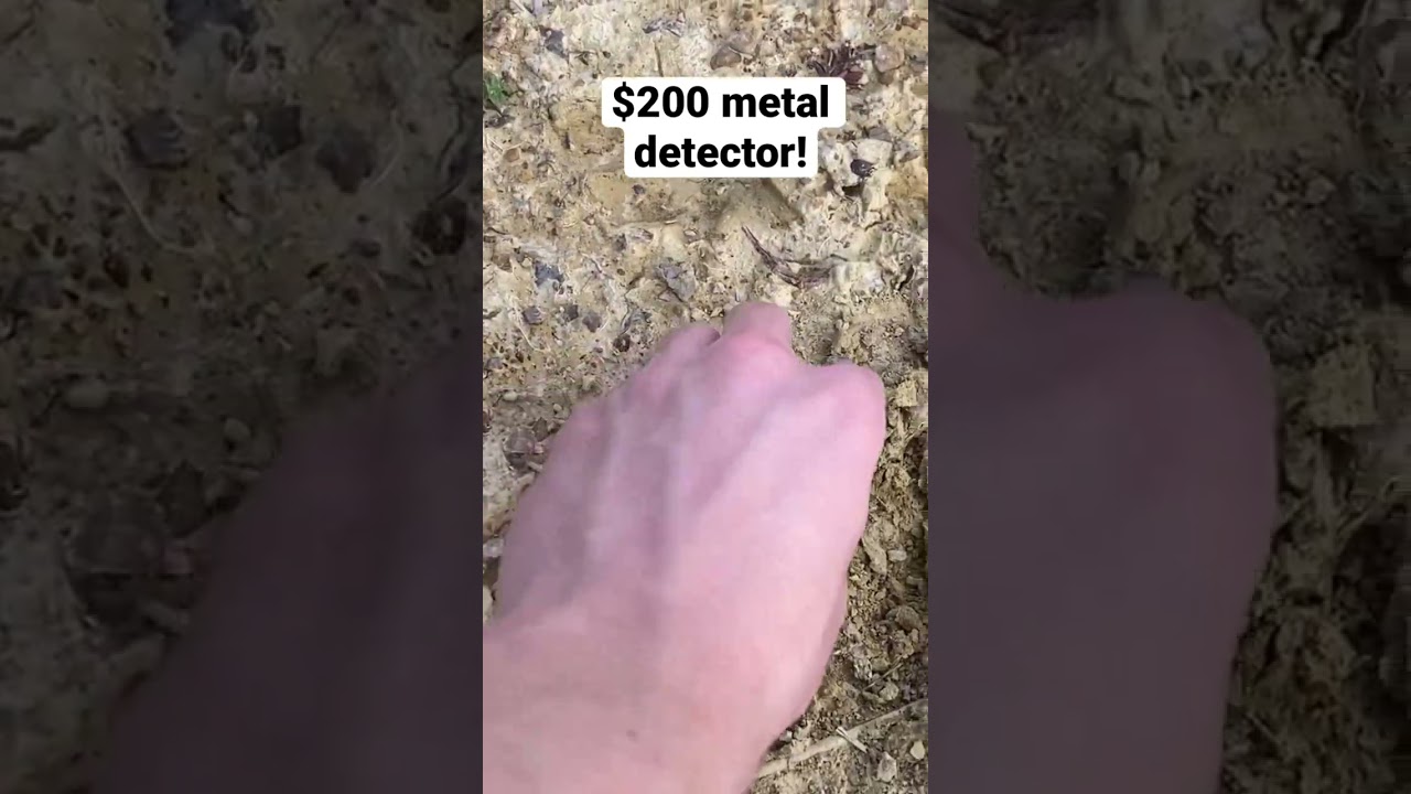 This $200 metal detector might be worth your money