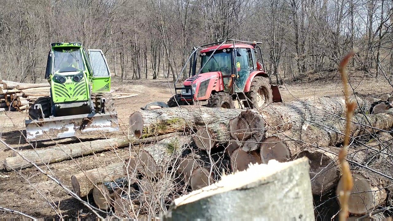Skidder ORVEX LT 100+Zetor Proxima,nový porast borovice časť 1. Working in forest 🇸🇰