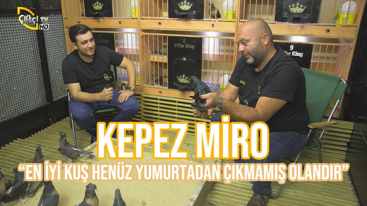 KEPEZ MİRO (En İyi Kuş Henüz Yumurtadan Çıkmamış Olandır) - Kuşçu