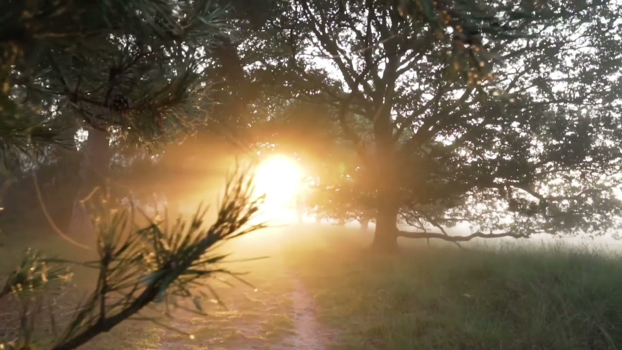 Relaxing Nature | Relaxing flute music | Relaxing music for sleeping  #Relexingmusic #Relexation