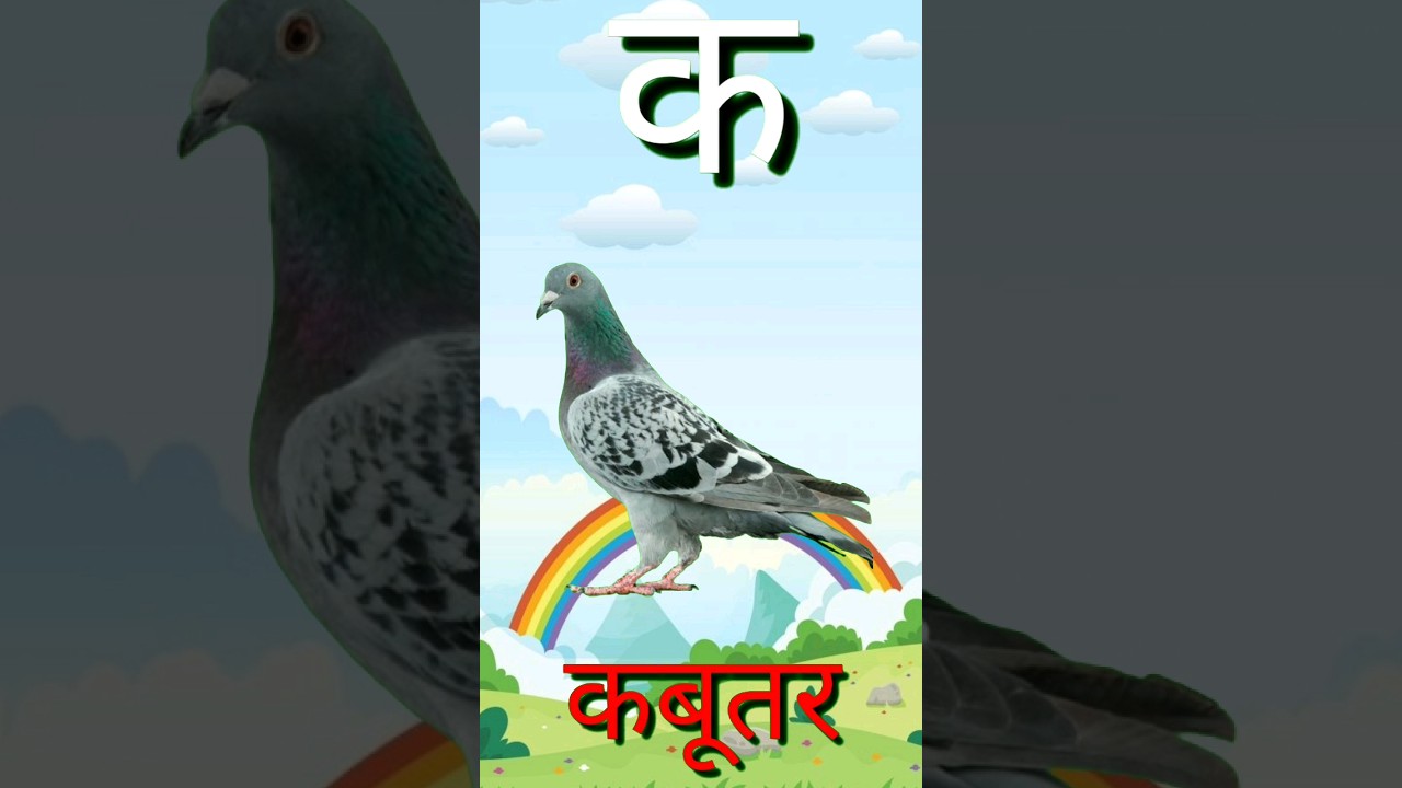 Ka se Kabutar | Hindi Varnamala #ksekabutar #ksekabutarkhsekhargosh #viral #shorts #कसेकबूतर