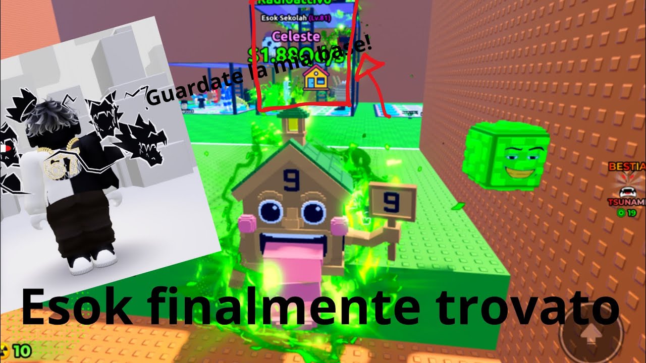 Oggi tu usami brainrot