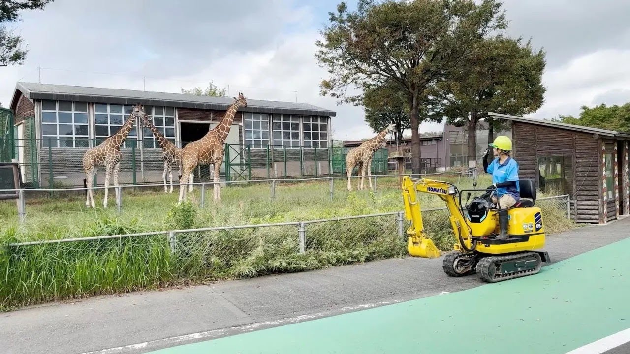 コマツ　「電動だから、できる。」　ーキリン舎の整備ー