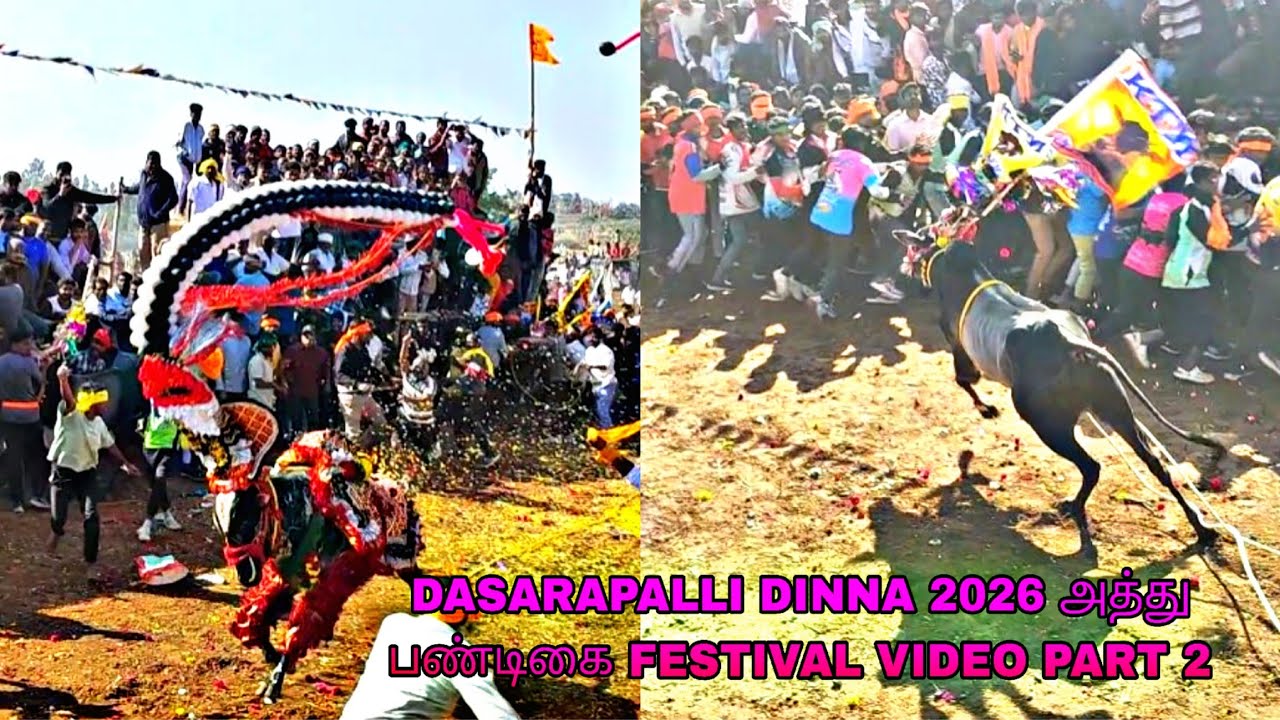 DASARAPALLI DINNA 2026 அத்து பண்டிகை FESTIVAL VIDEO PART 2 @bulletrani8271 