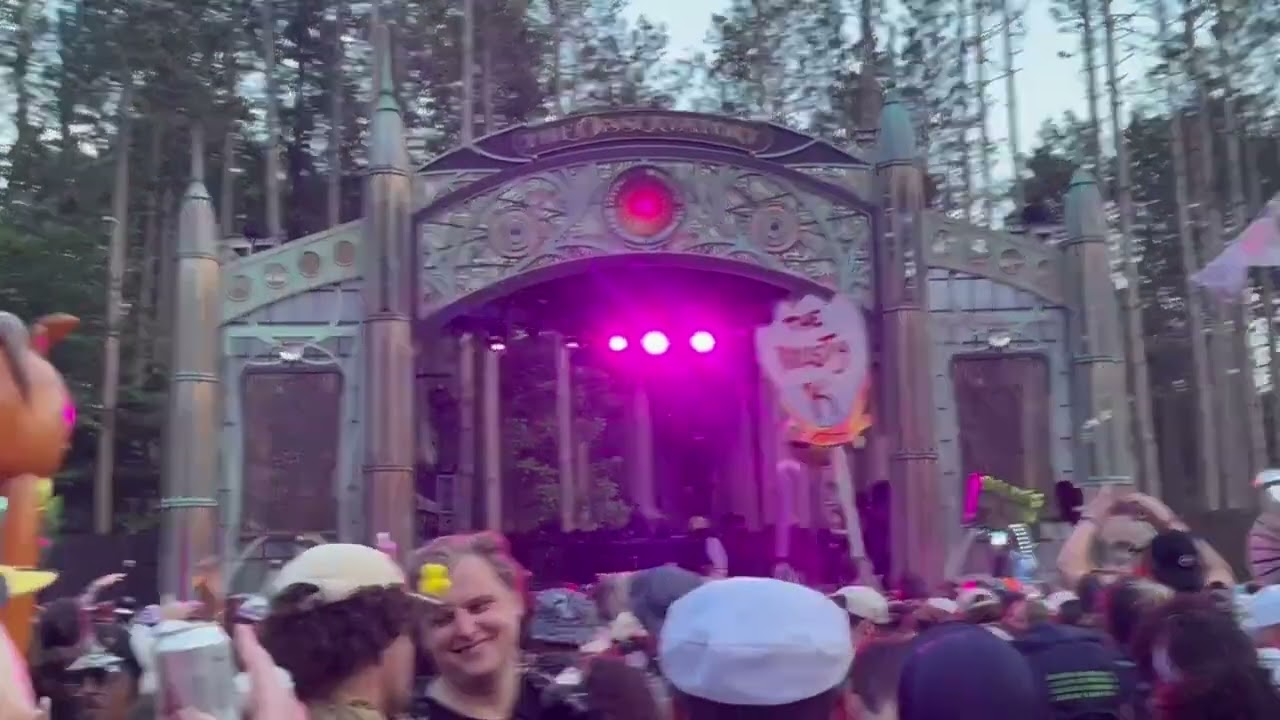 MERSIV ELECTRIC FOREST 2025 - SLOWDOWN OBSERVATORY - FULL SET 4K