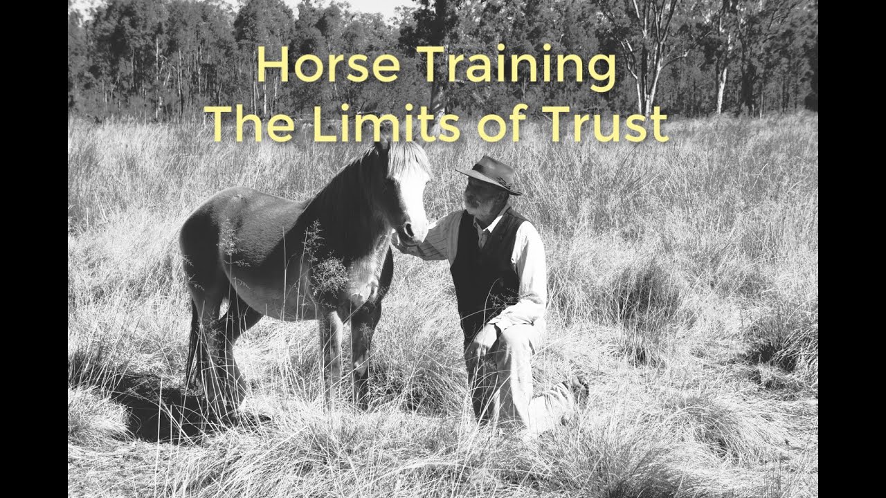 Horse Training: The Limits of Trust
