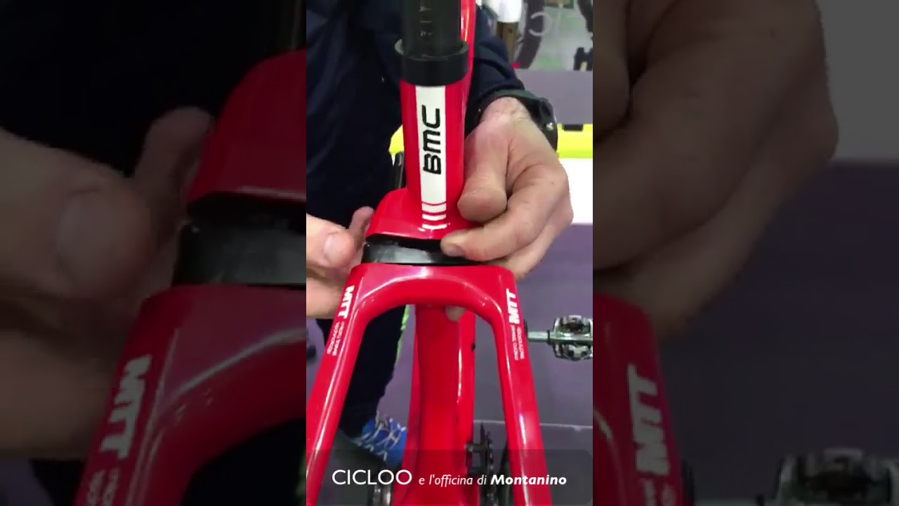 BMC Teammachine 01 manutenzione MTT