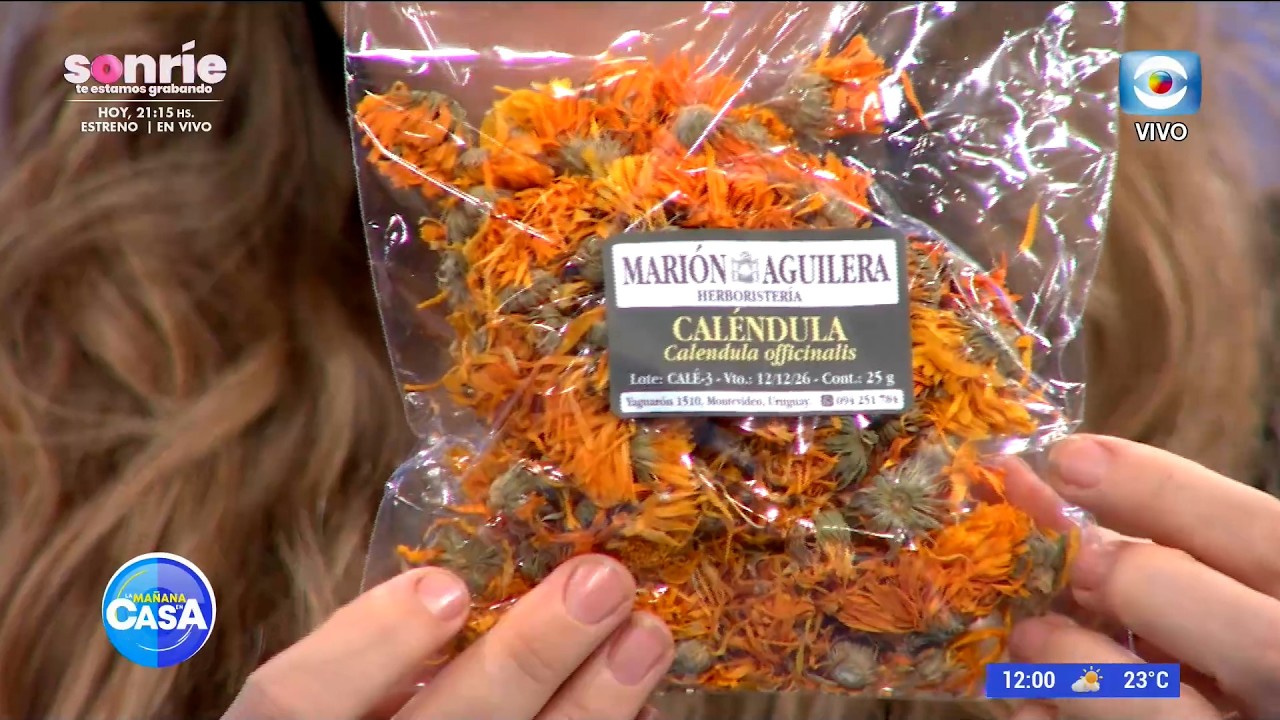 Hierbas en Casa: Mariana Barquín responde las consultas de los televidentes