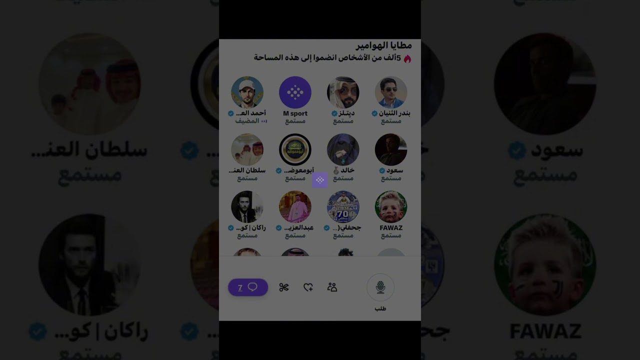 مساحة احمد العتيبي : مطايا الهوامير