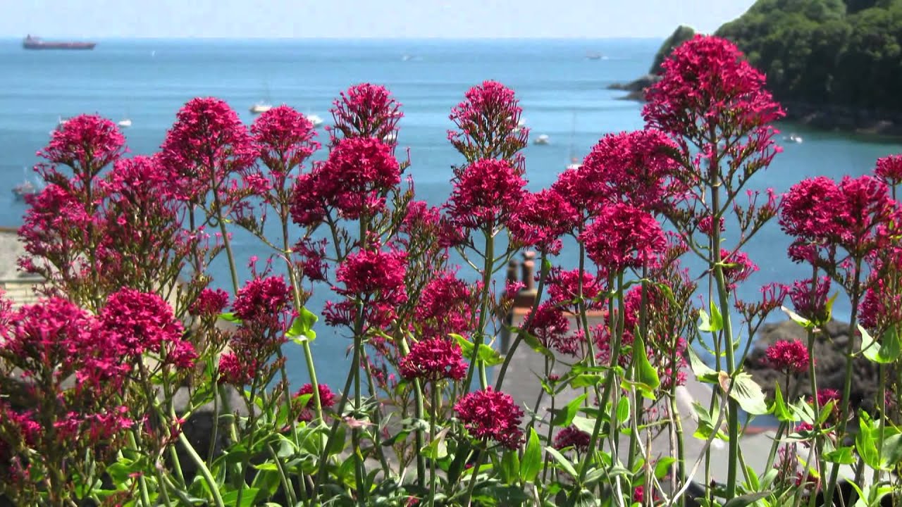 Cornwall - Kingsand/Cawsand    