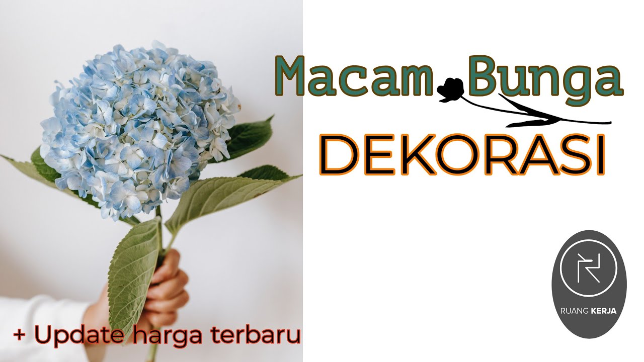 MENGENAL JENIS BUNGA UNTUK DEKORASI PELAMINAN | TERBARU