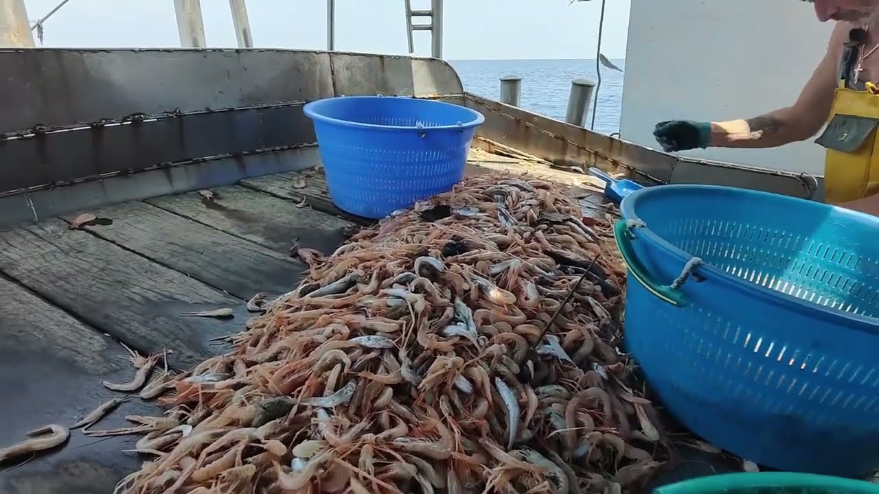 PESCA A STRASCICO: 