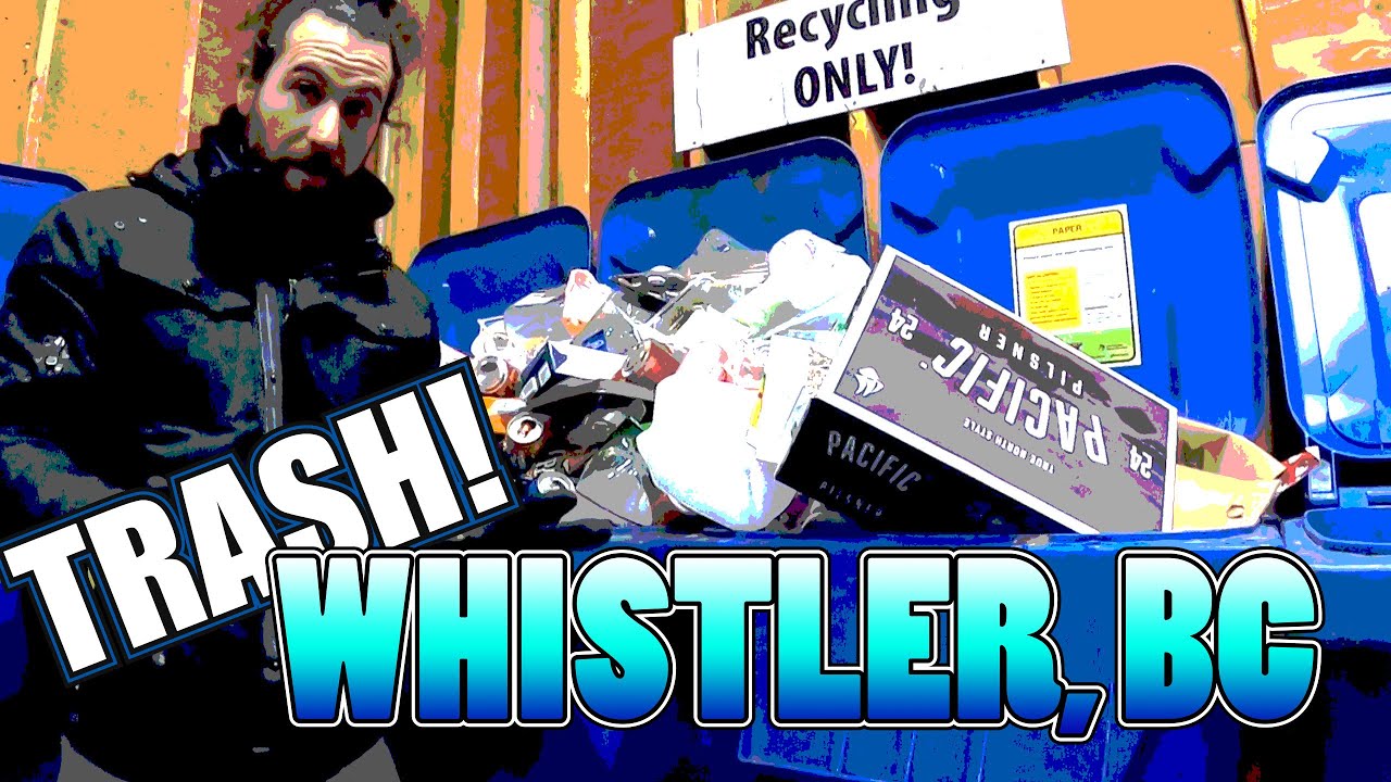 Dumpsters And Bottle Picking In Whistler, BC!