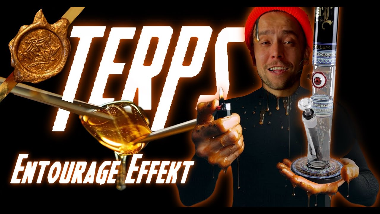 TERPENE/ EFFEKTE STEUERN/ BLACKLEAF & 420 SMOKEBOX check