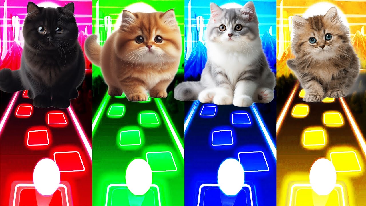 CUTE CATS WEDNESDAY LADY GAGA BLOODY MARY BLACKPINK LISA MONEY and KITTY JISOO FLOWER KILL THIS LOVE