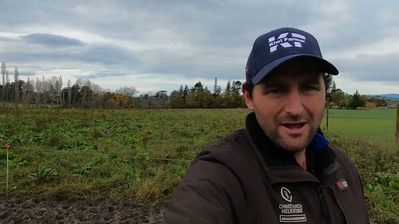 Why I started KIWI FARMER on You Tube.......