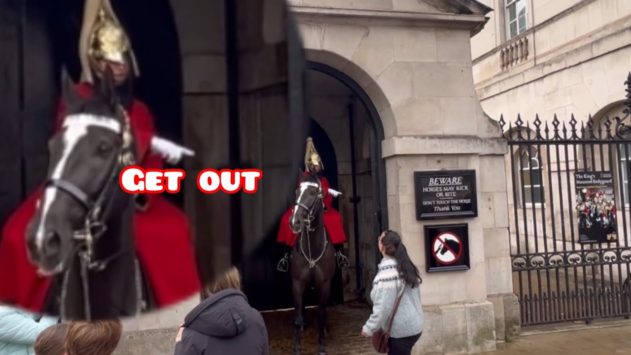 🛑FREE WOMEN entered the box talking to the horse. The guard had to warn her twice “ OUTSIDE THE BOX”
