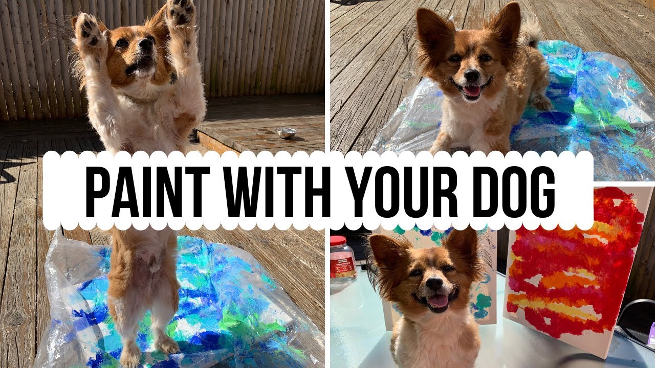 Paint with your DOG! (no mess) || Your dog is the artist!