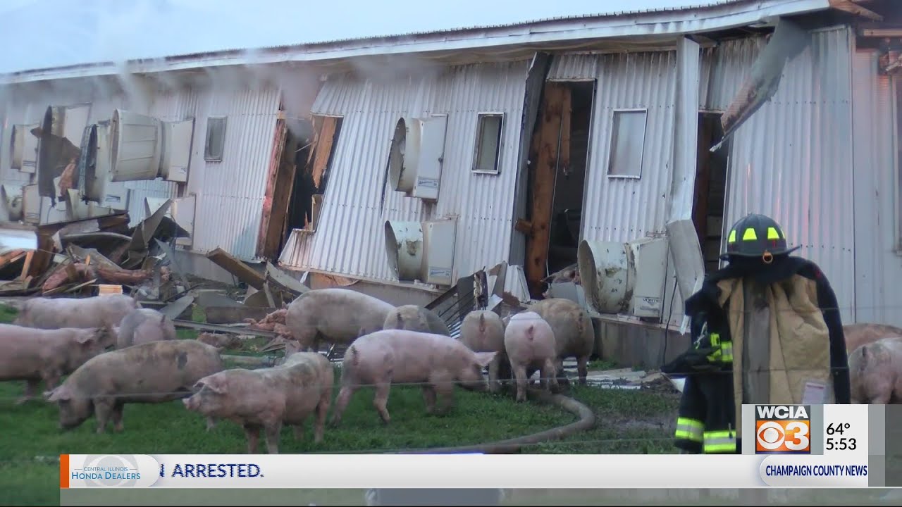 Fire at Hog Farm