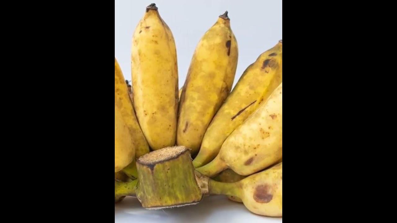 7 JENIS PISANG TERBAIK DI DUNIA #flora #buahbuahan