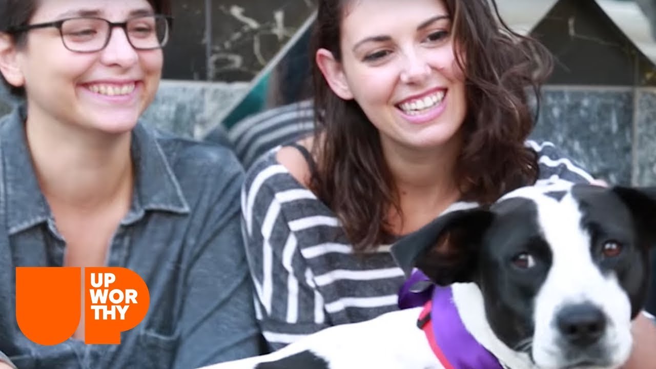 Meet Ellen the Dog and Her Foster Home!