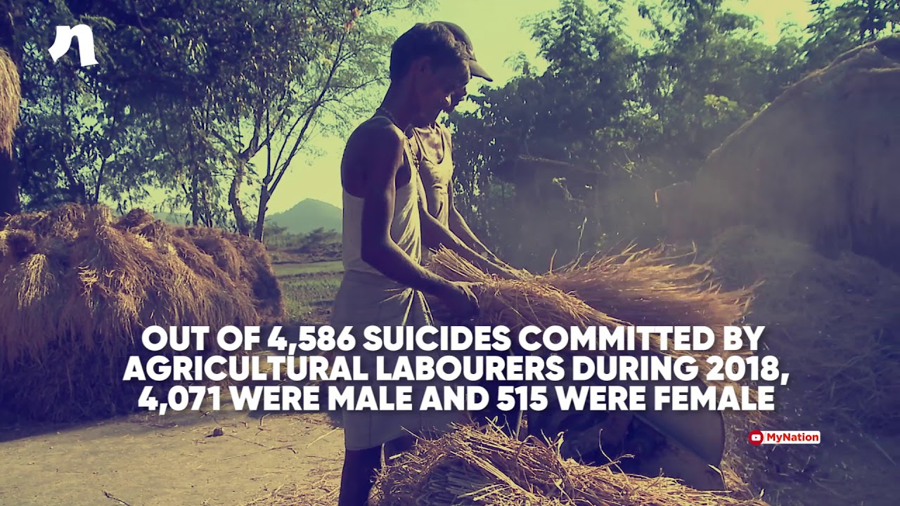 10,349 Farmers Committed Suicides In 2018 In India
