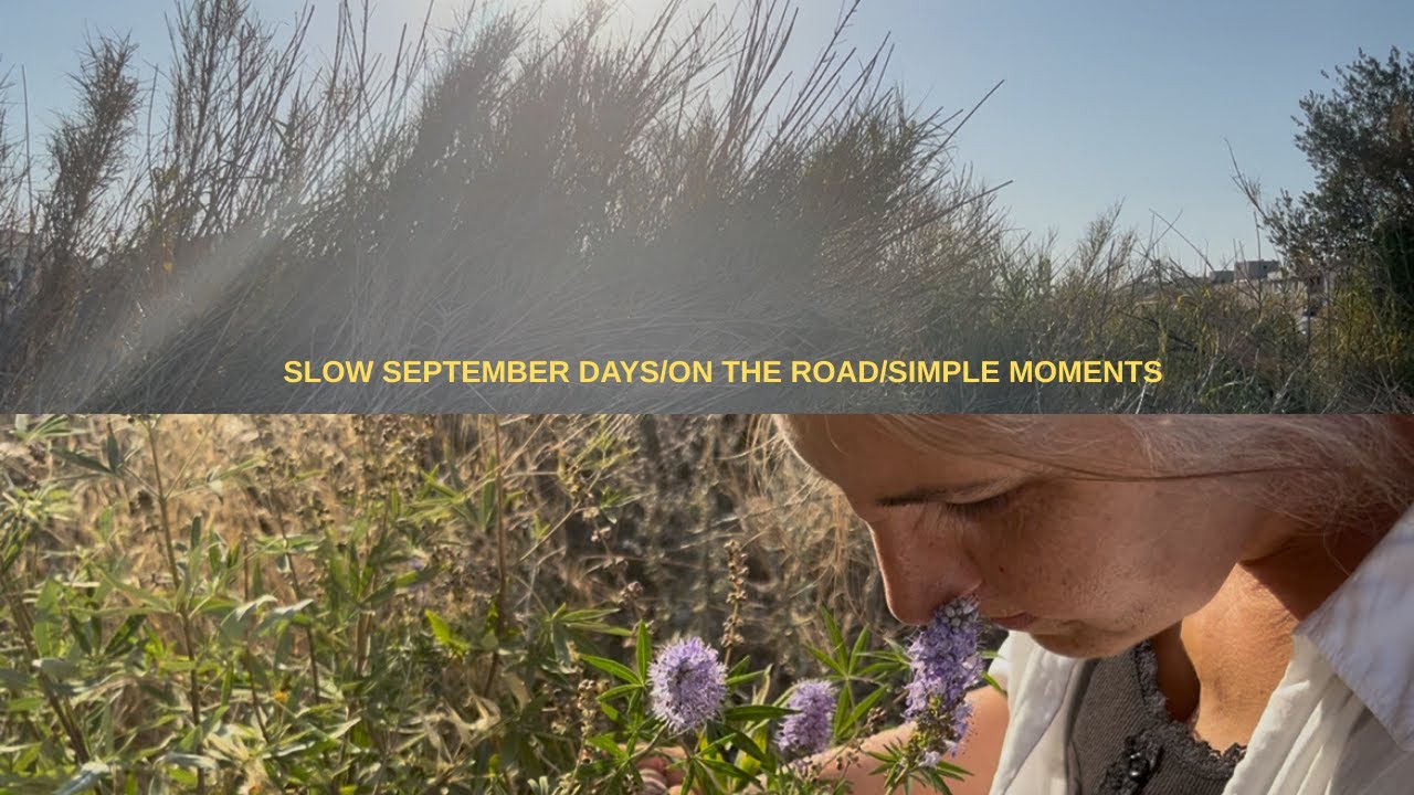 slow september days/on the road /simple moments