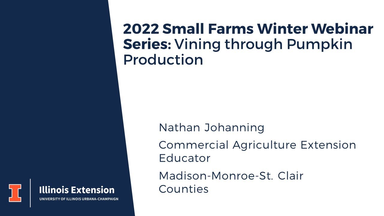 Small Farms Webinar Series: Commercial Pumpkin Production