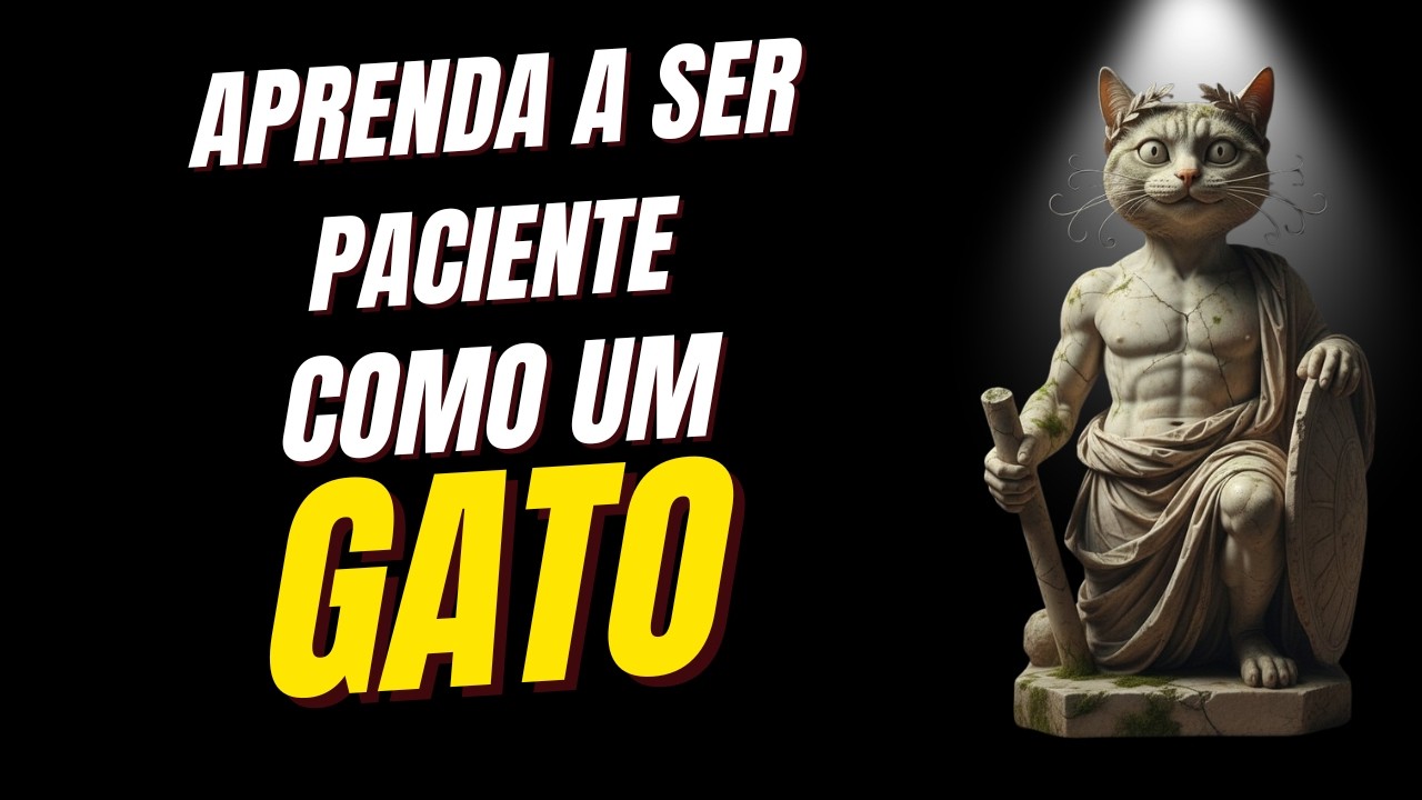 A Pressa Está Destruindo Sua Vida, aprenda o remédio com seu gato.