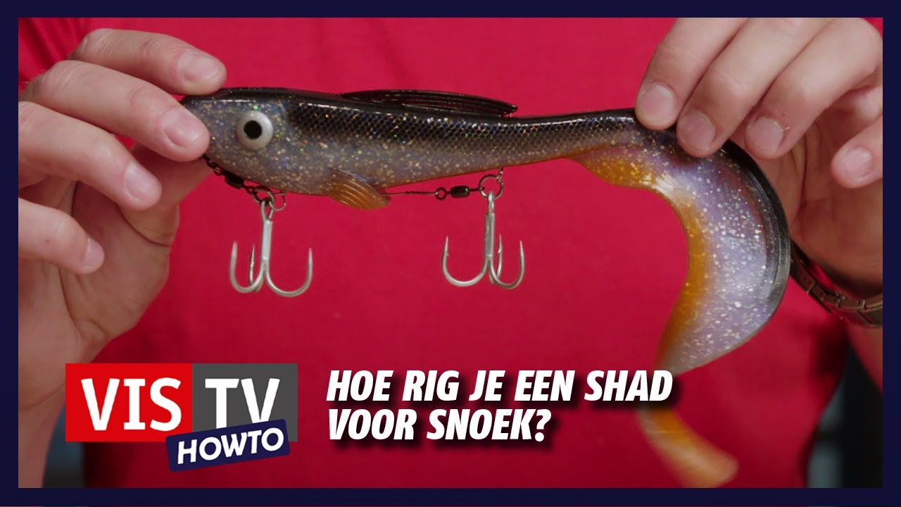 VIS TV How to - Hoe rig je een shad voor snoek