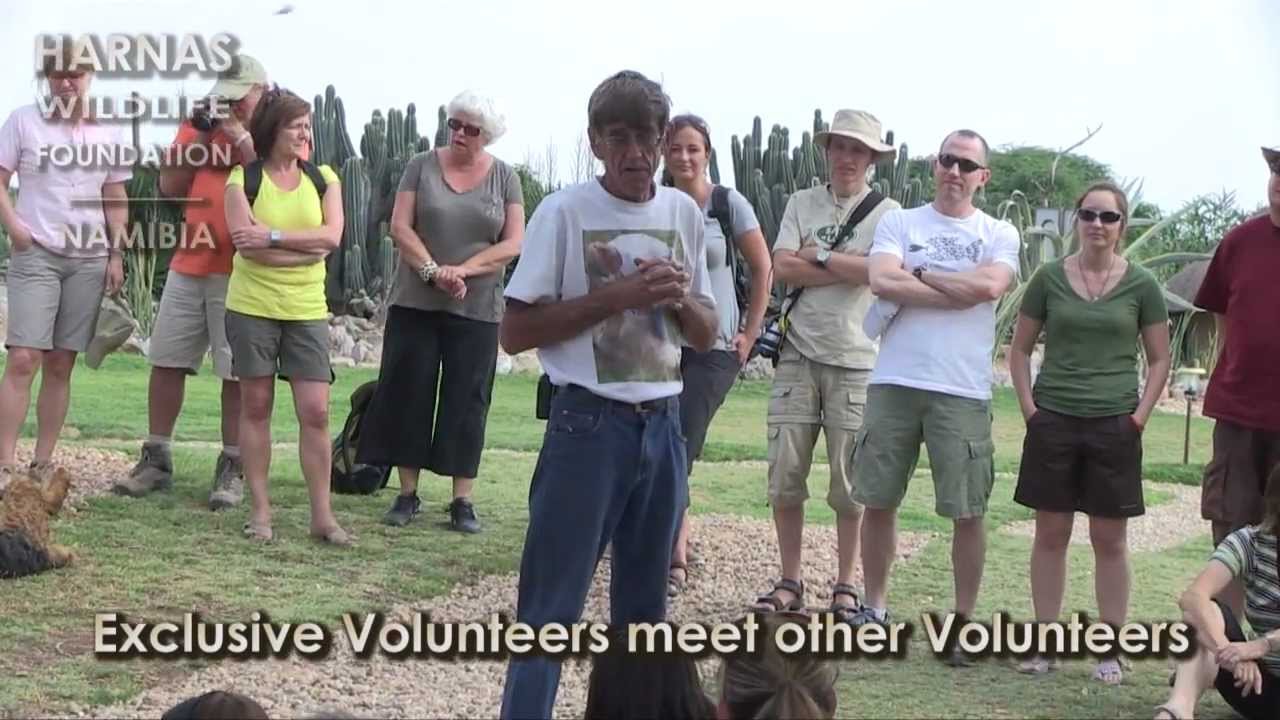 Harnas Wildlife Foundation | Spread Your Wings