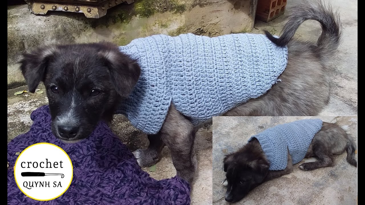 How to easy crochet dog sweater - hướng dẫn móc áo len cho thú cưng