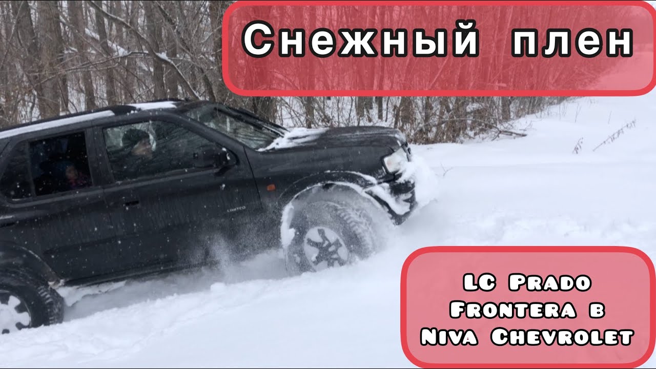 Едем в лес! LC Prado 2022,Frontera b, Шнива.