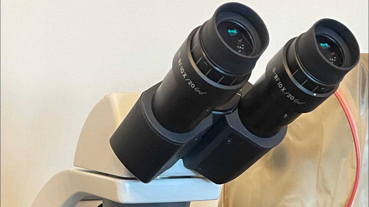 Motic BA310 Binoküler Mikroskop