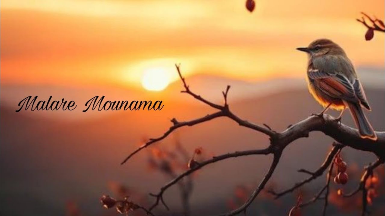 Malare.. Mounama.. AGNUS AISHI BABA            Dr. AGNEYA GOUTHAMACHARYA BABA 