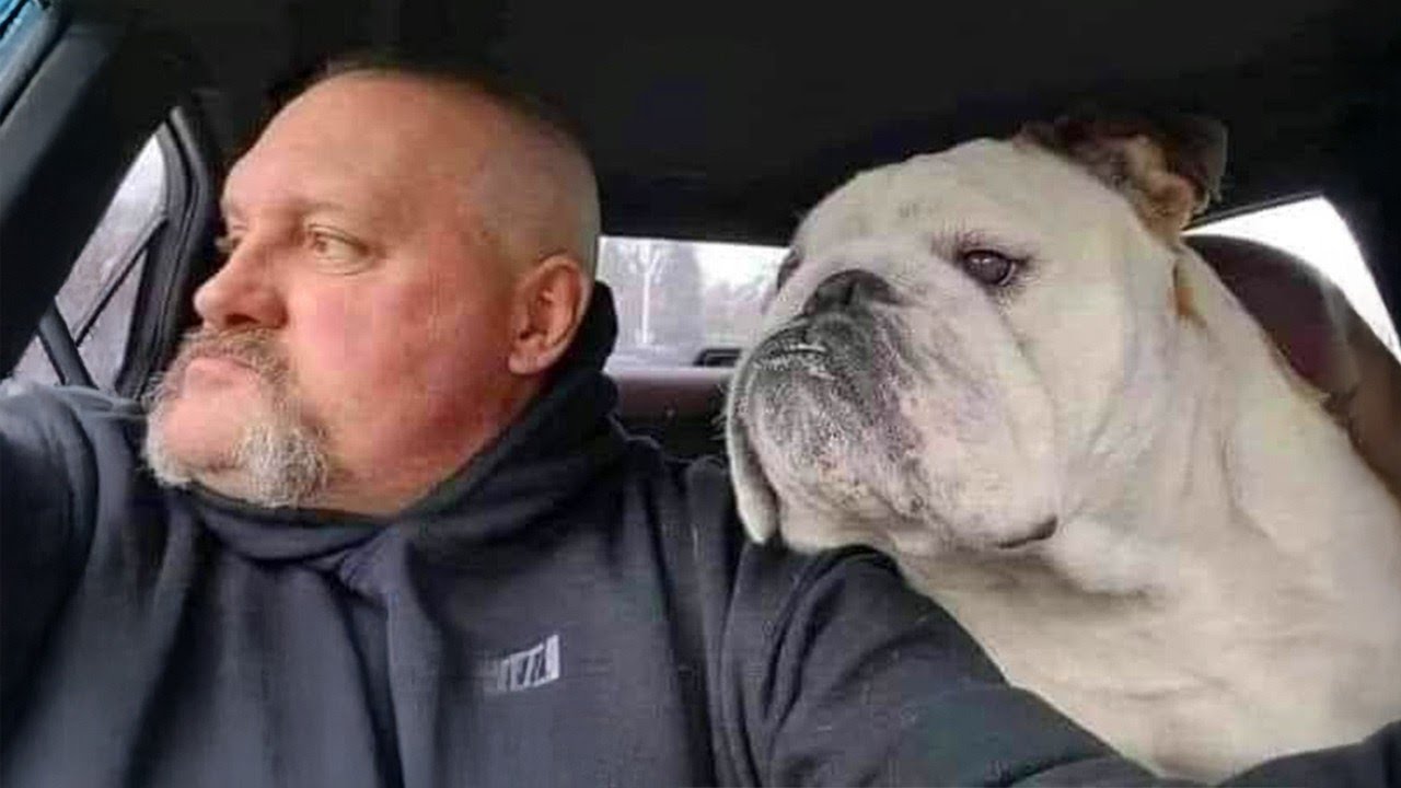 FUNNIEST DOGS On The Internet 😂🐶 I DARE You NOT to LAUGH #57