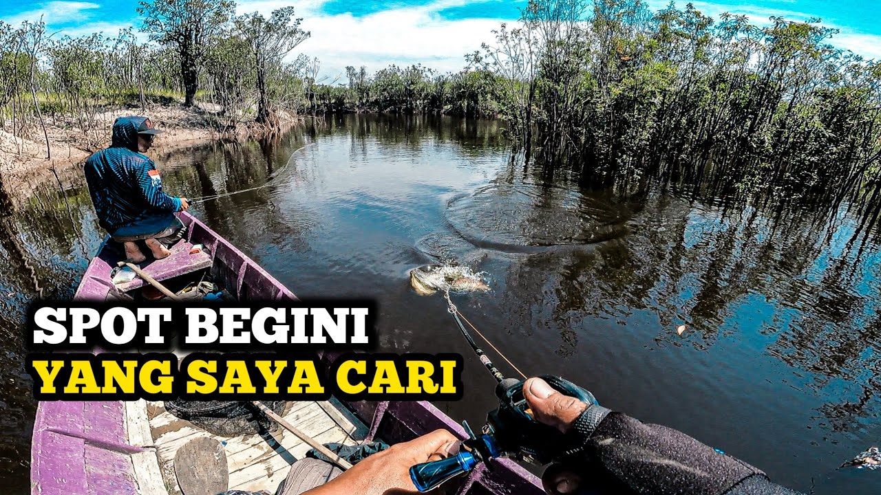 FULL STRIKE !!! Panen Channa Pleuro diSpot Surga || CASTING KERANDANG KALIMANTAN