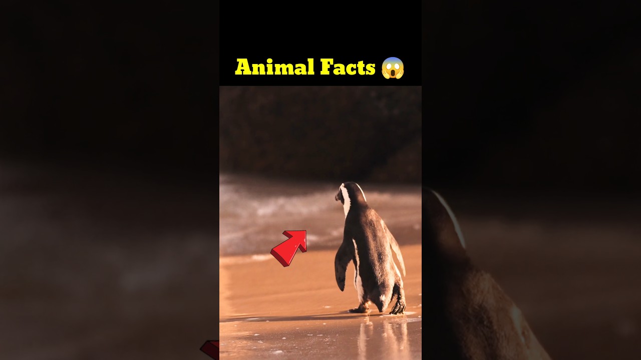 ⚡Most Interesting animal facts Telugu| #trending #shorts #telugu #viral⚡