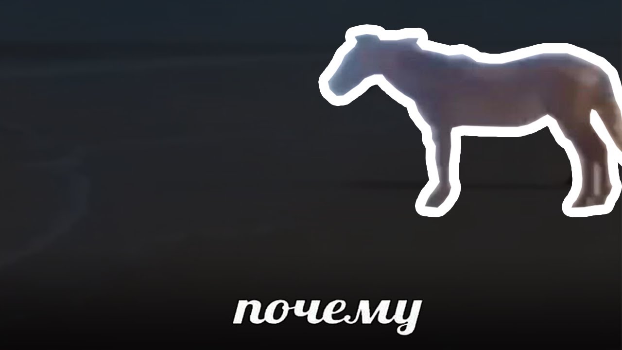 ЛОШАДЬ 