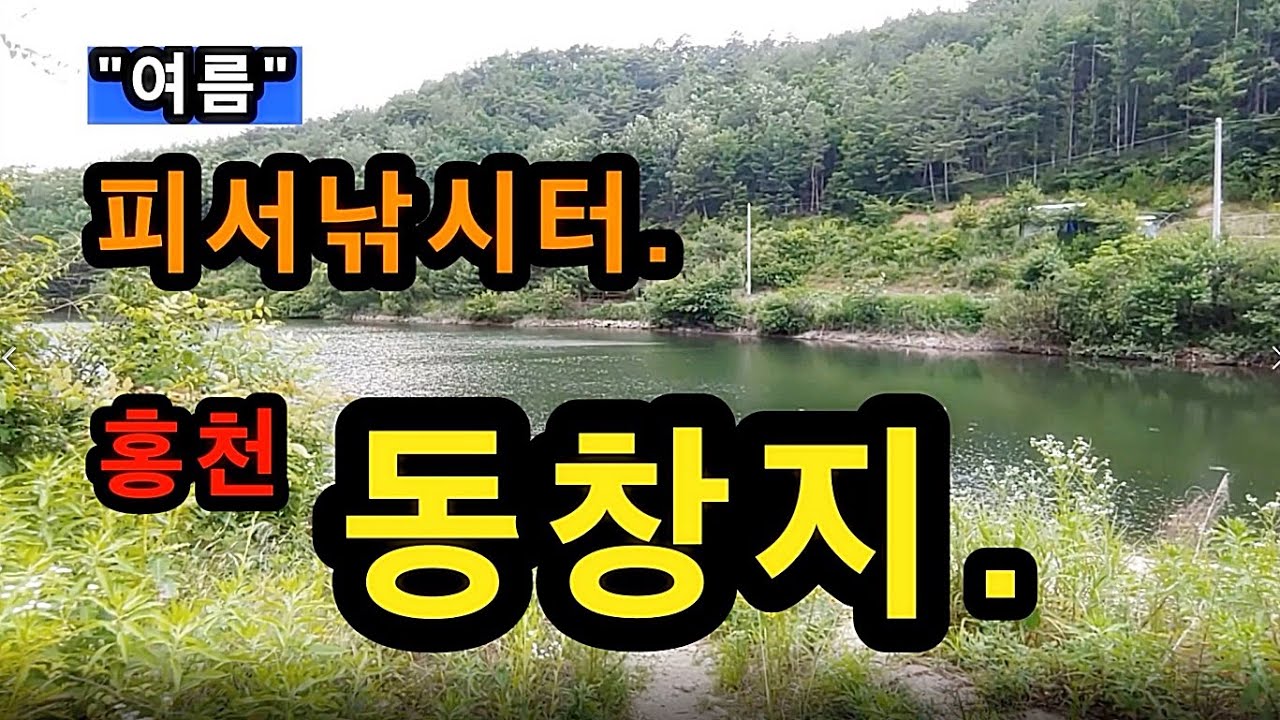[홍천]_ 동창지(복골지) / 한여름 피서 낚시터 / 토종터 / 강원도 홍천군 내촌면 물걸리 487-15