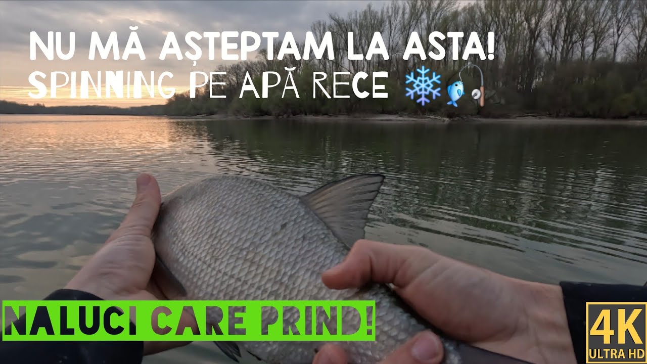 #Pescuit #iarna la #spinning – #răpitor la #năluci pe apă rece ❄️🎣