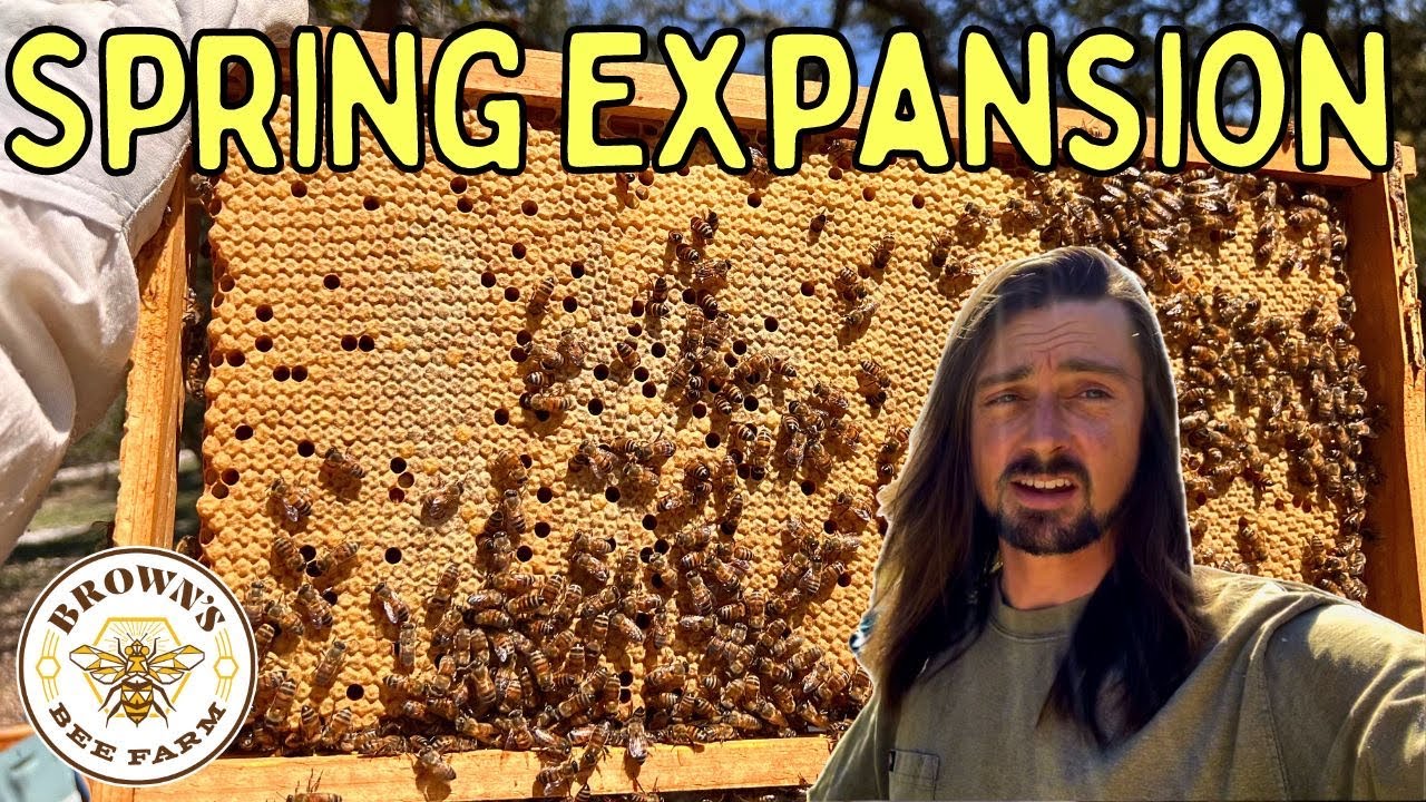 Spring Beekeeping Expansion - Texas Hill Country Beekeeping