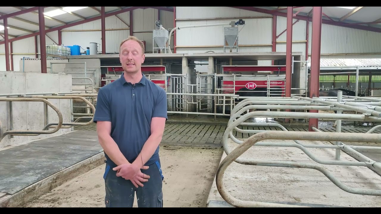 Replacing a 12-unit parlour with two Lely robots in Co Tipperary
