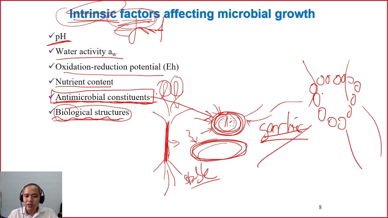 C5-04 microbial growth under the effects of intrinsic factors| Dairy technology