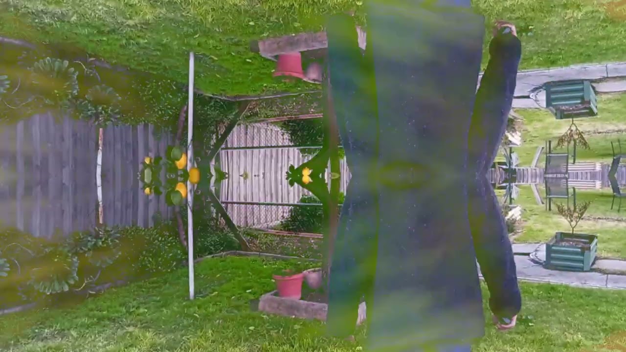 The Wheel