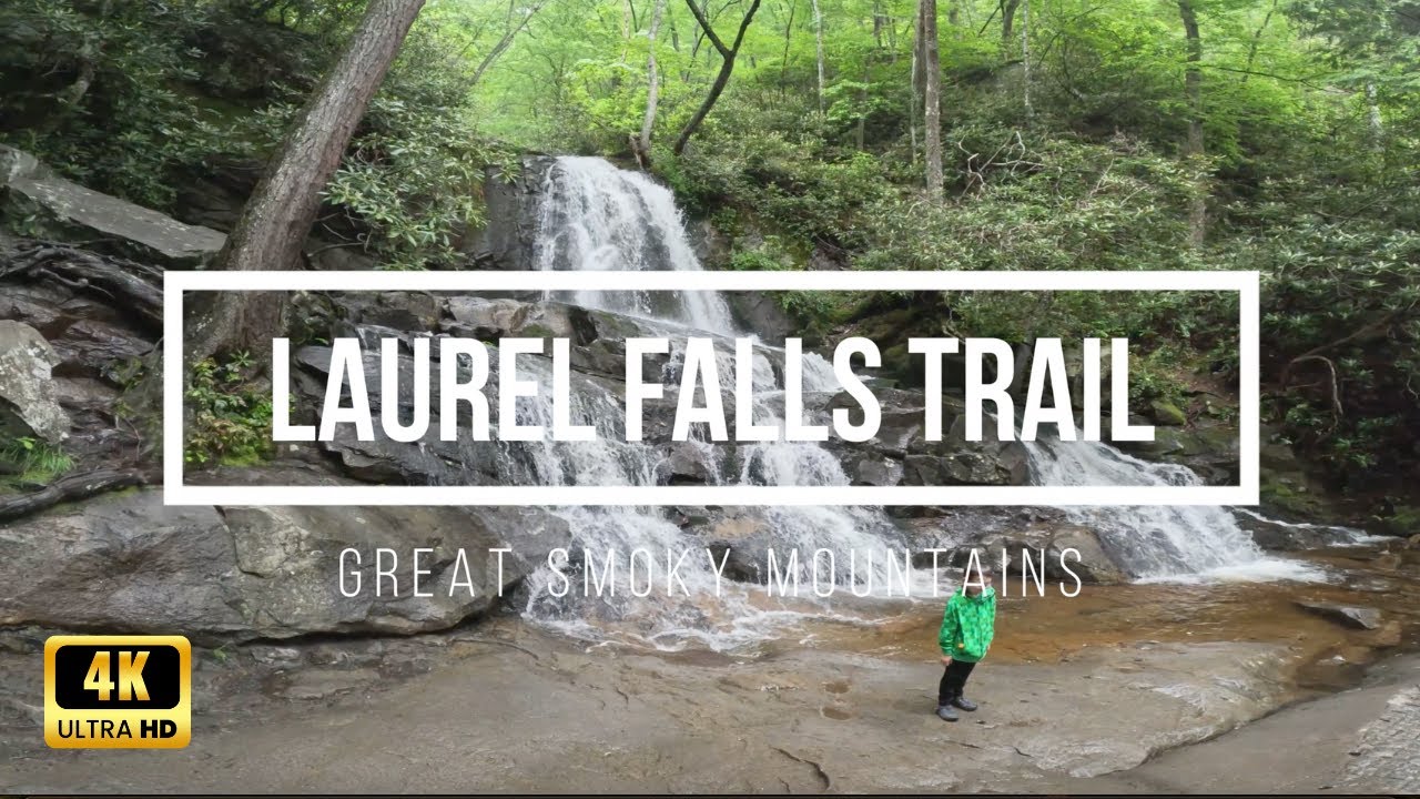 POV Hike Laurel Falls Trail | Great Smoky Mountains Scenic Walk with Music