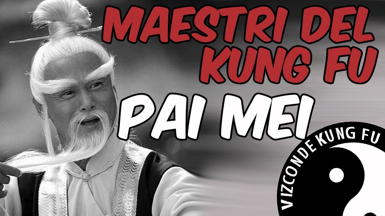 MAESTRI DEL KUNG FU ::: PAI MEI  il maestro dal sopracciglio bianco ::: Vizconde Kung Fu